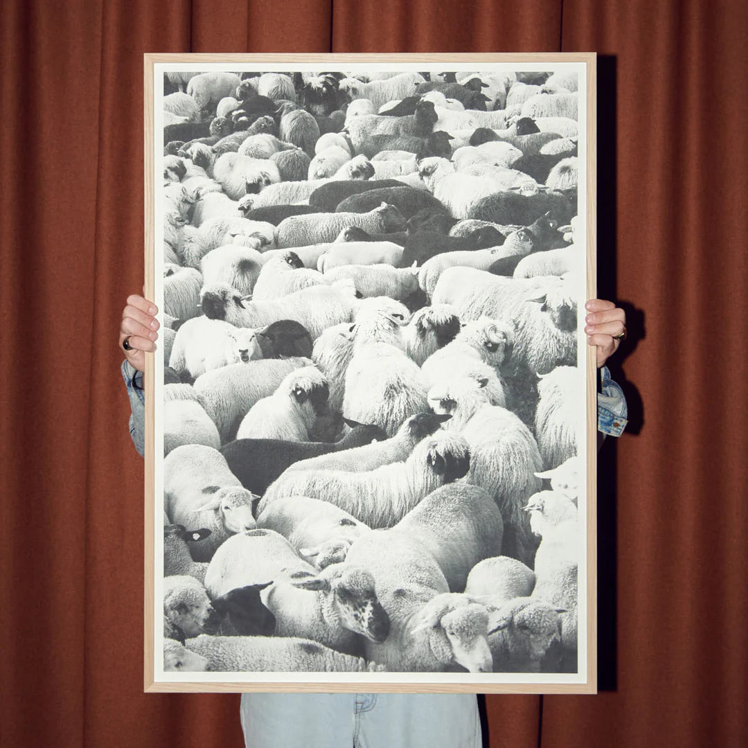 Poster The Flock von Edition3000